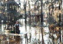 Caddo Lake Flood 19-Dec-01 Photo by D.Metzler