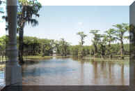 Caddo Lake scene MothersDay1999 photo by Dorothy Metzler